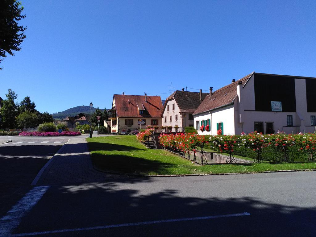 Gites & Camping On The Route Des Vins Bergheim Exteriér fotografie